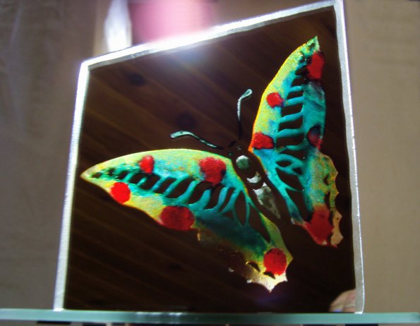 SAMSUNG DIGITAL CAMERA